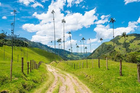  Journey into Colombia: An Artistic Exploration Through Colombian Landscapes